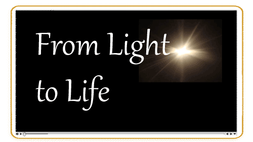 Light to Life