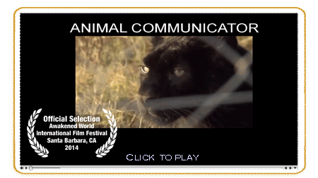 Animal Communicators